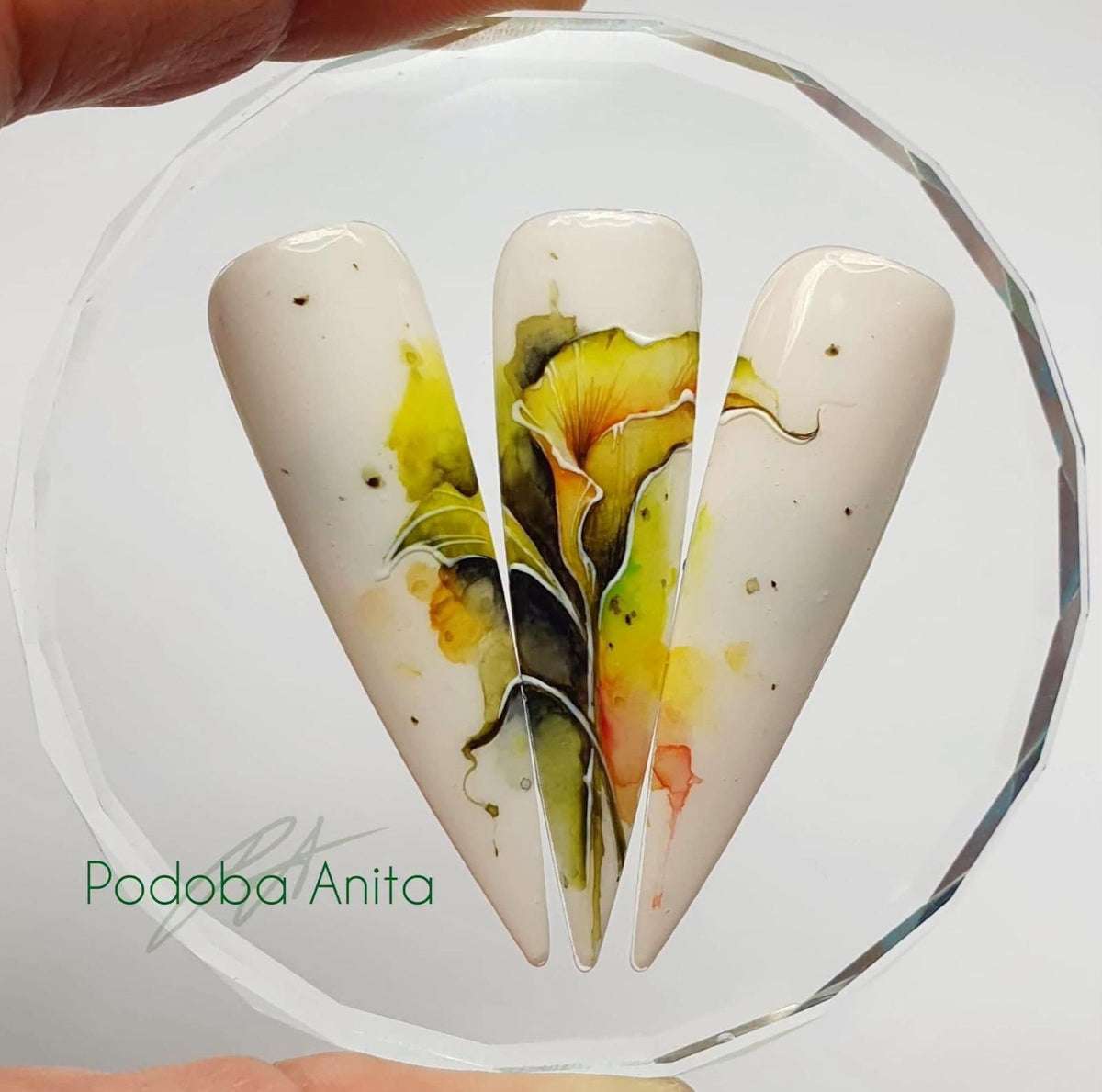 MasterClasses Anita Podoba